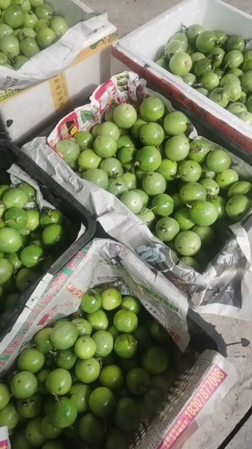 浦北县钦蜜9号百香果，熟度够，口感好，产地直发，欢迎采购