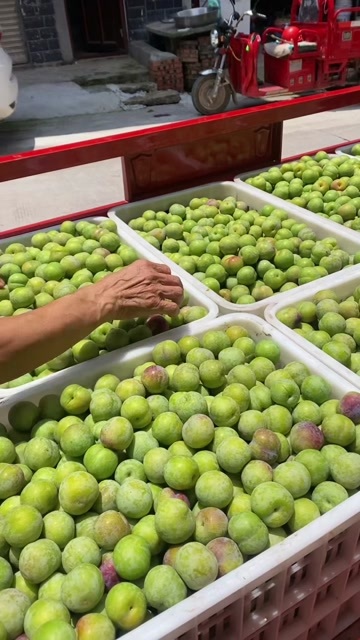 屏山县殷红李，脆甜可口。量很大，大量要的可联系我