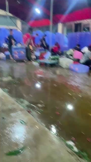 惠来县禾荔红花。。。