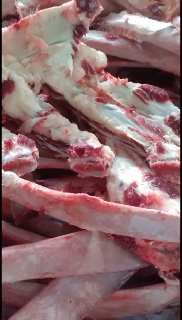 深圳广东牛杂