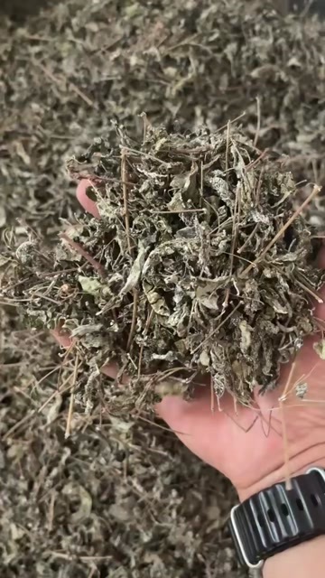 阳朔县广西桂林阳朔溪黄茶散装花草茶农副产品长期保存非药物