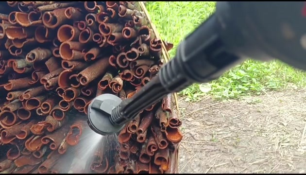 梧州桂皮