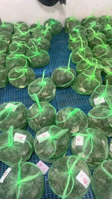 兴化市江苏养殖户是有批发大闸蟹出卖吗？