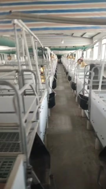 高安市2.4/3.6米母猪产床130套