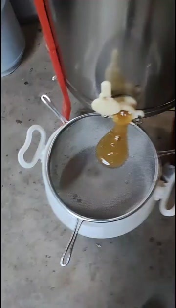 无棣县蜂蜜
