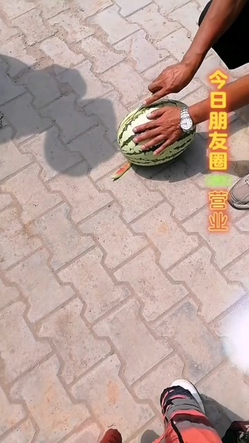 杭锦后旗沙漠小白皮，甜哭的沙瓤瓜
