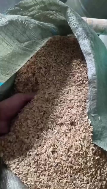 当阳市打包圆壳发酒厂装货中