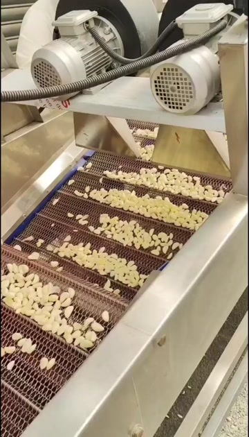 温县新鲜干蒜米，厂家直销，出口货，食品厂货，烧烤店货一级中级等等
