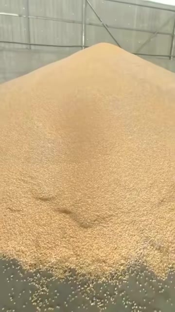 潜江市湖北地区烘干玉米，水份14以内，要货的老板联系