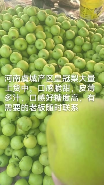 虞城县皇冠梨