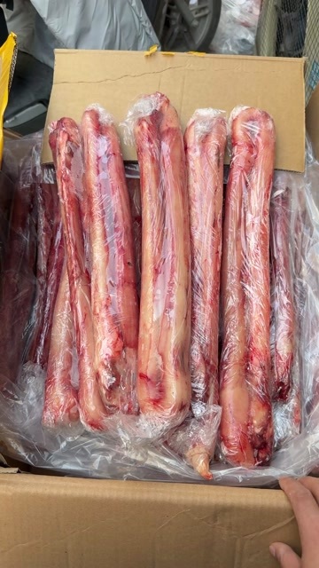 郑州河南郑州惠济区牛宝鞭类优质禽畜肉蛋产品