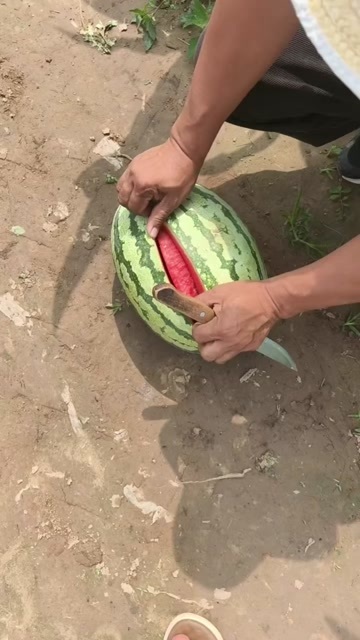忻州大量上货，口感好，价格便宜