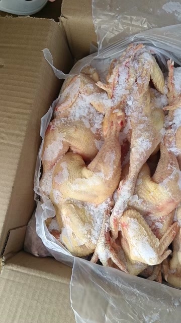 莘县常年出售二级三黄鸡7-8-9-10只  价格是临时的要货联系