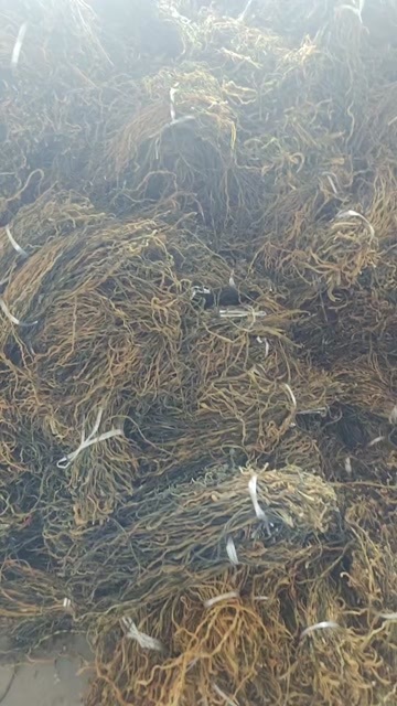 单县干豆角，电商货，商场货样样俱全
