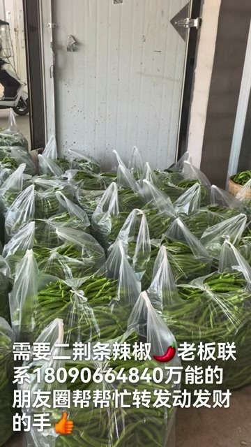 冕宁县二荆条