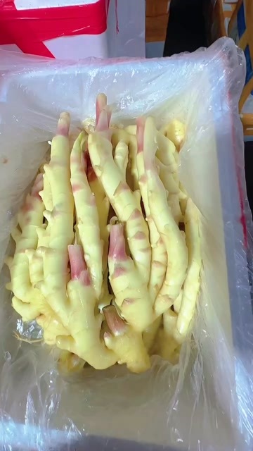 广州子姜