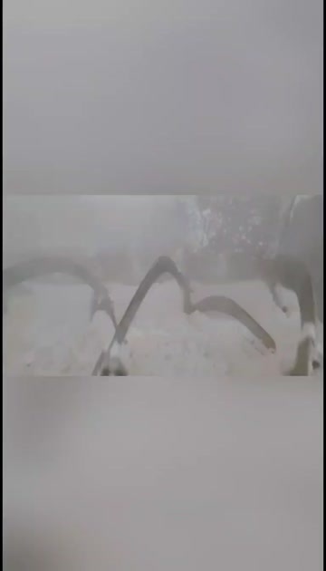 卢龙县我们厂大型机器设备 常年生产红薯淀粉，木薯颗粒，玉米颗粒