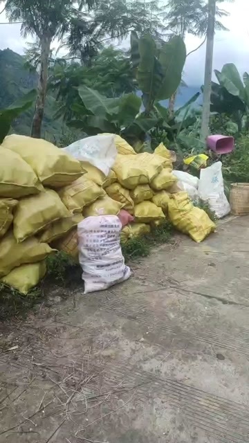 金平县需要新鲜联系吧！ 联系电话