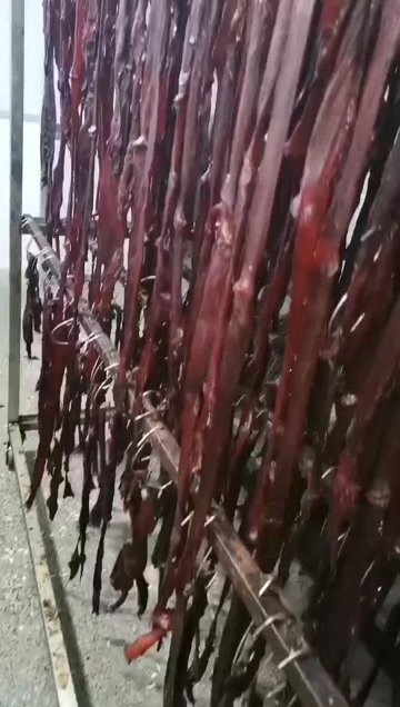 成都风干牛肉干牛干巴手撕牛肉厂家直销创业