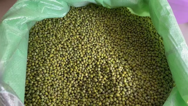 温岭市黑龙江当季东北农家绿豆出沙快口感绵密口感好