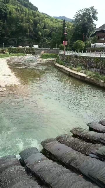 龙胜县高山土红尾口感细腻，清甜。开汤，清蒸，欢迎咨询