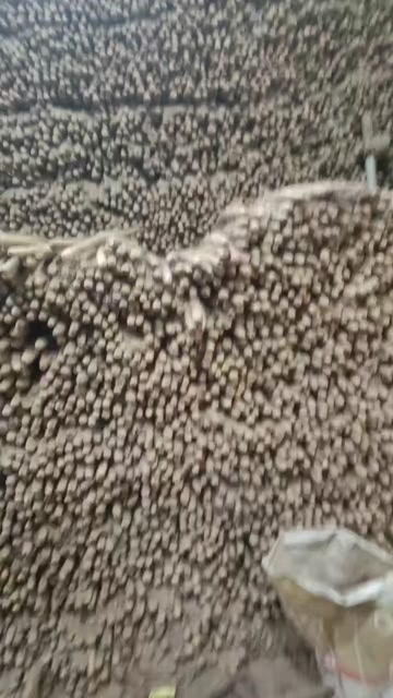 产地山药大量供应