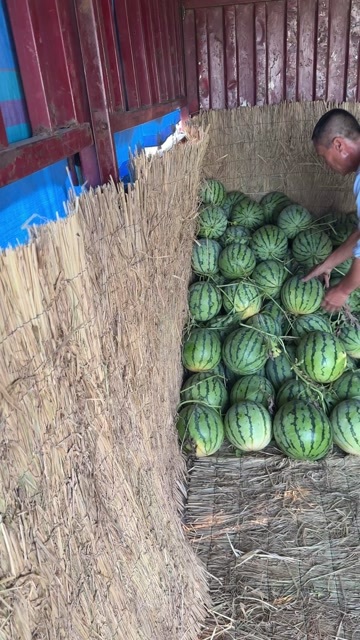 凤台县美都 麒麟 绿源硒砂瓜