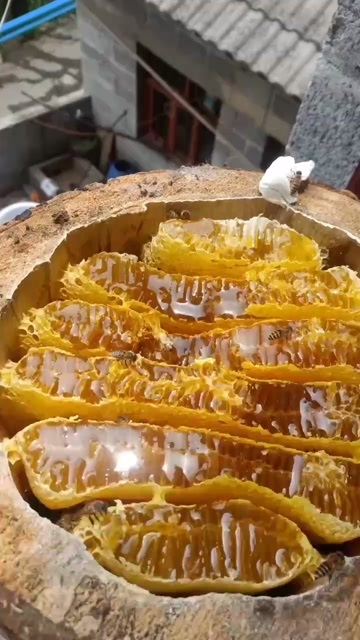 纳雍县蜂蜜