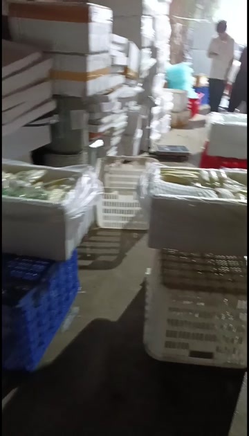 鄂州水果藕大量供应，当天采摘发货