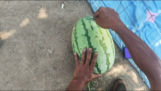 忻州忻州西瓜