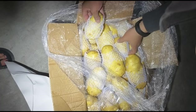 滕州市荷兰土豆