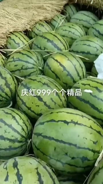 大安市地雷西瓜