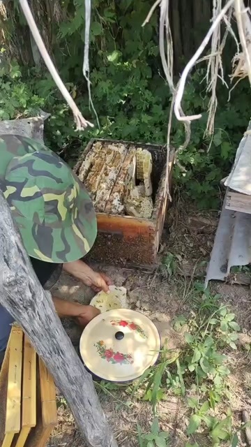 麟游县陕西土蜂蜜