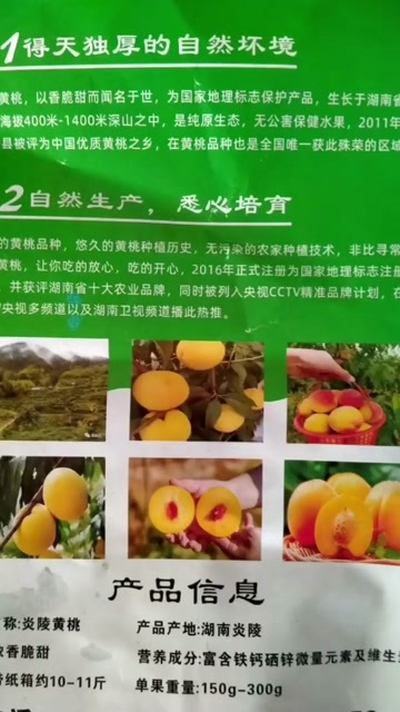 炎陵县炎陵锦绣黄桃，高山，自产自销，价格实惠