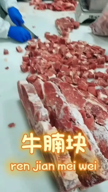 大厂县清真牛肉，牛腩块