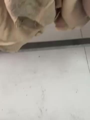 伊宁市牛大肚
