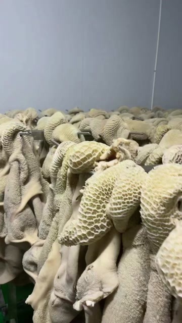郑州牛副产品