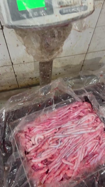 吉林市屠宰厂直销东北大猪猪鞭，货品质量好，货源充足
