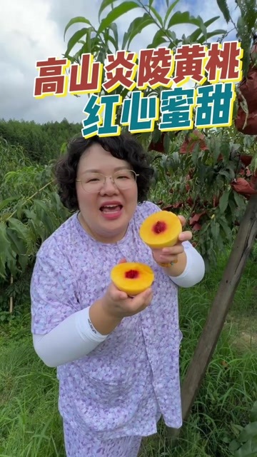 炎陵县【产地直采】湖南炎陵高山现摘黄桃，果园直发，新鲜直达！