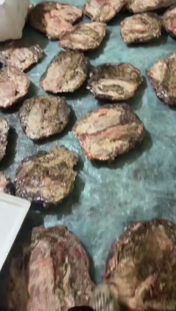 成都鲜毛肚