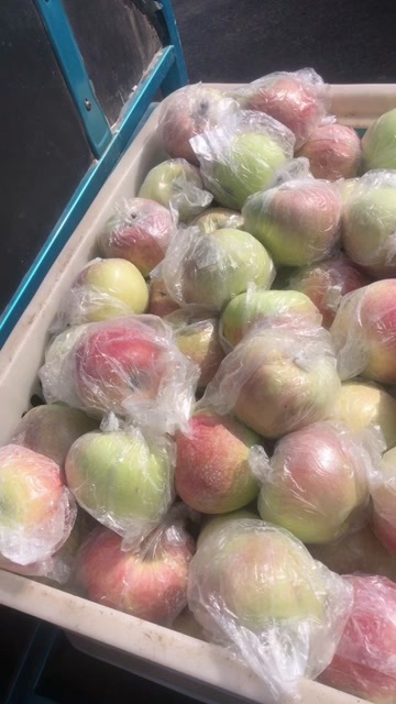 莒县山东美八苹果基地