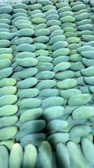 百色广西百色田阳桂七香芒热带水果礼盒装电商果80g起