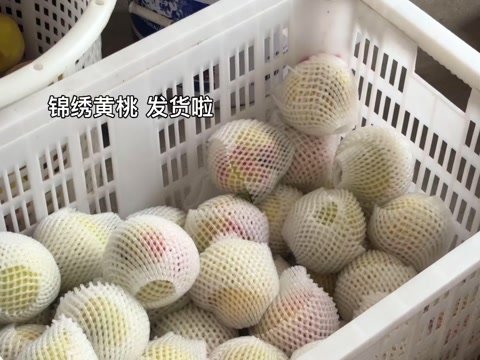 建宁锦绣黄桃，产地直发，顺丰直达，新鲜到家，坏果包赔