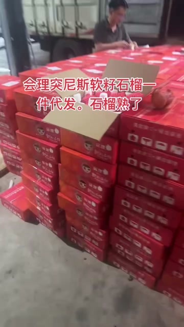 昆明会理突尼斯软籽石榴一件代发