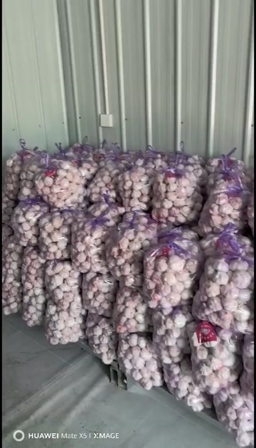 杞县精品大蒜产地直发，紫皮大蒜，需要的联系