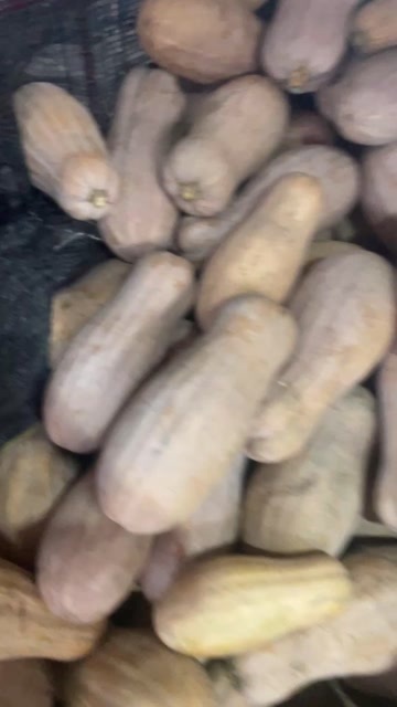 汉寿县常德优质本密南瓜对接各大商家