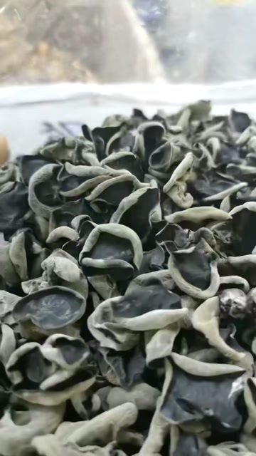 木耳基地大量批发各种木耳，质量保证，欢迎洽谈