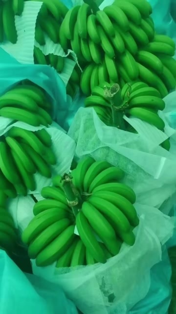 金平县想要好货  价格便宜  联系我