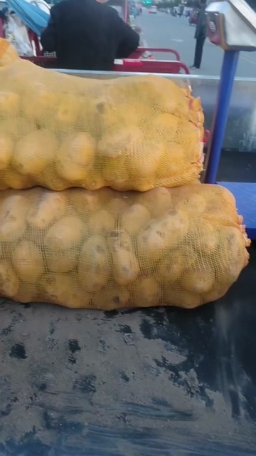 榆中县旱地土豆