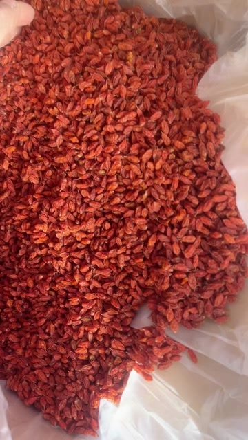 沙棘干果 精品选货 。